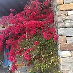 Joy's Little House